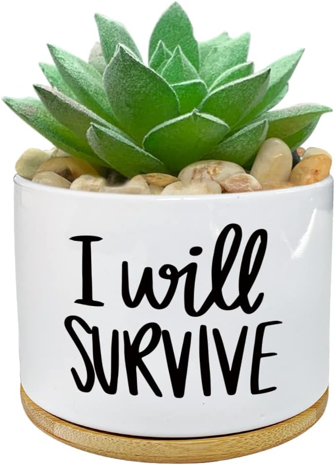 Aloe Vera Pot - I Will Survive Ceramic Succulent Plant