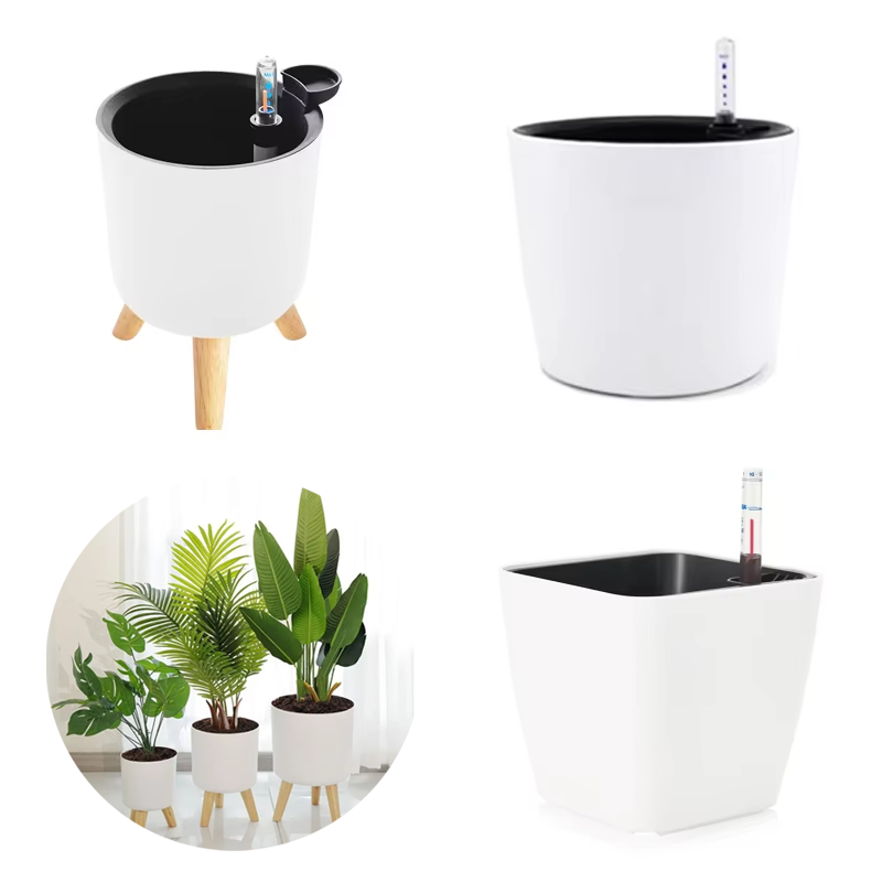 1PC Indoor Plastic Flowerpot S - Aloe Vera Pot 评论和价格