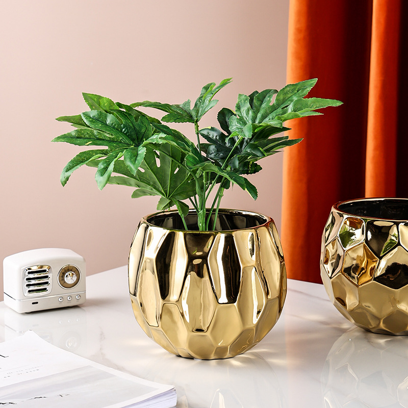 Nordic Style Geometric Shape C - Aloe Vera Pot 评论和价格
