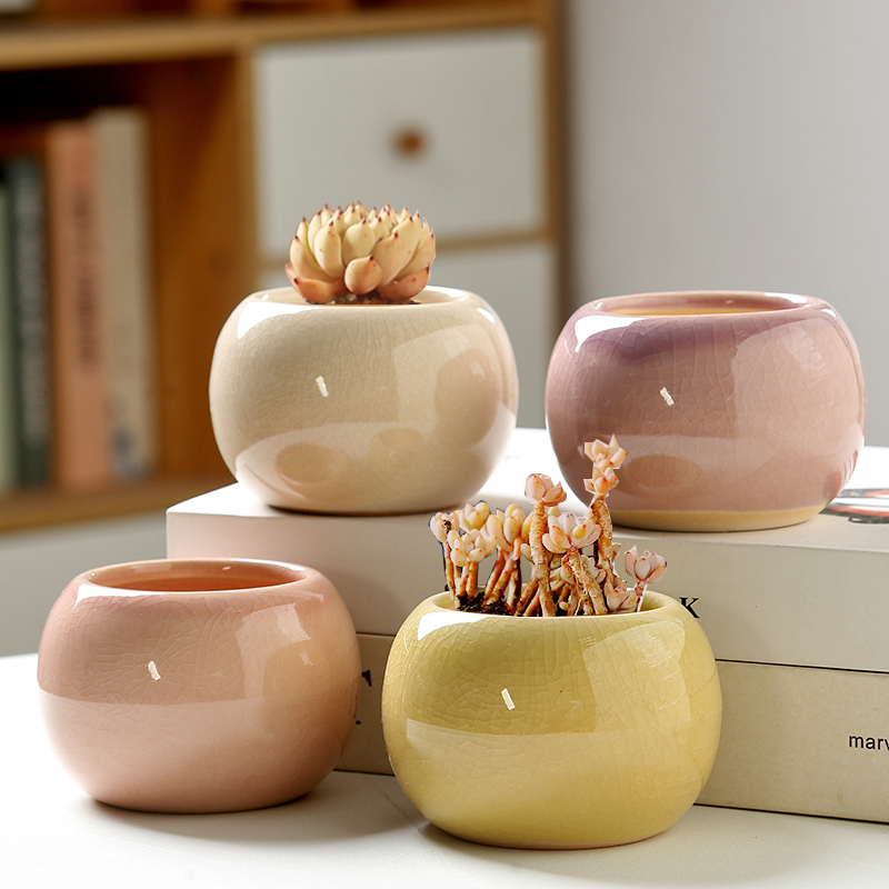 Flower Pot Ice Cracked Small C - Aloe Vera Pot 评论和价格