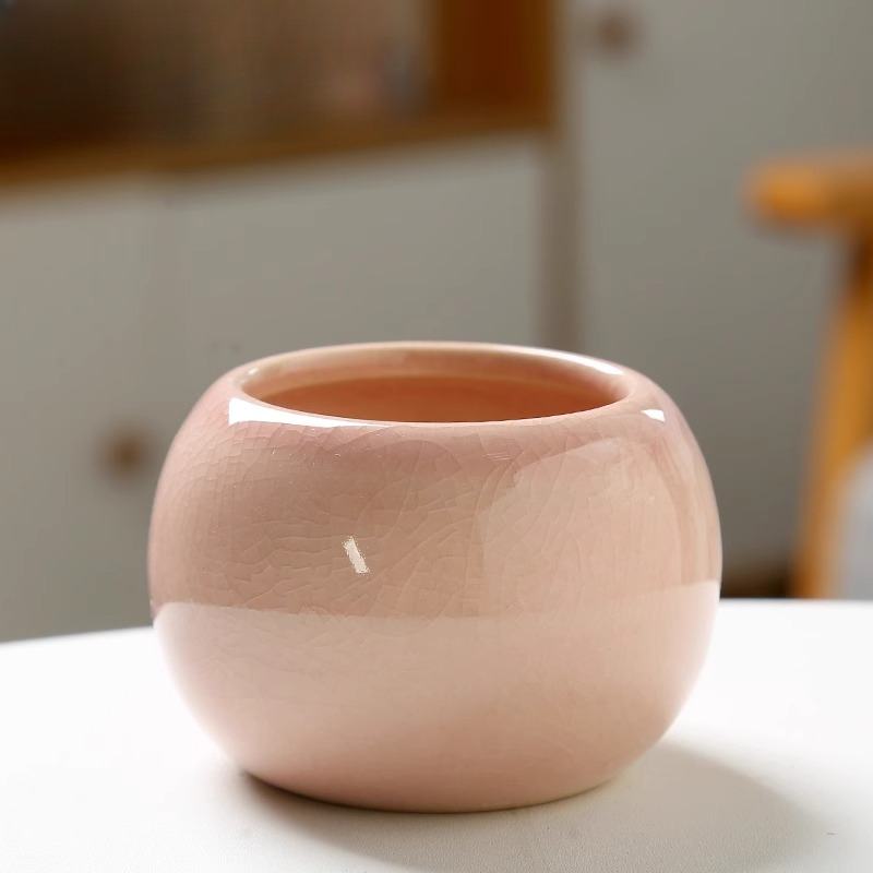 Flower Pot Ice Cracked Small C - Aloe Vera Pot 评论和价格