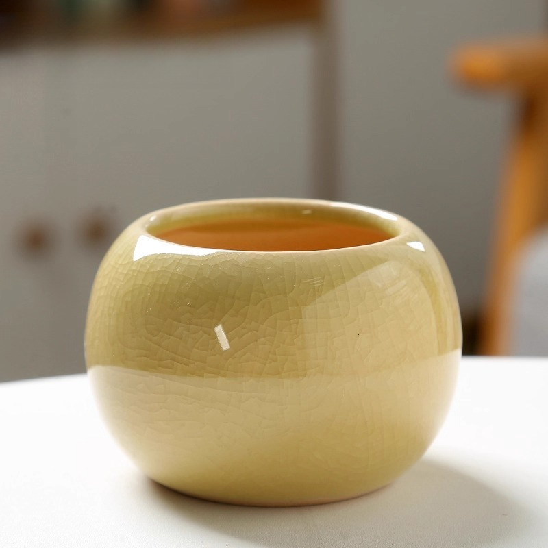 Flower Pot Ice Cracked Small C - Aloe Vera Pot 评论和价格