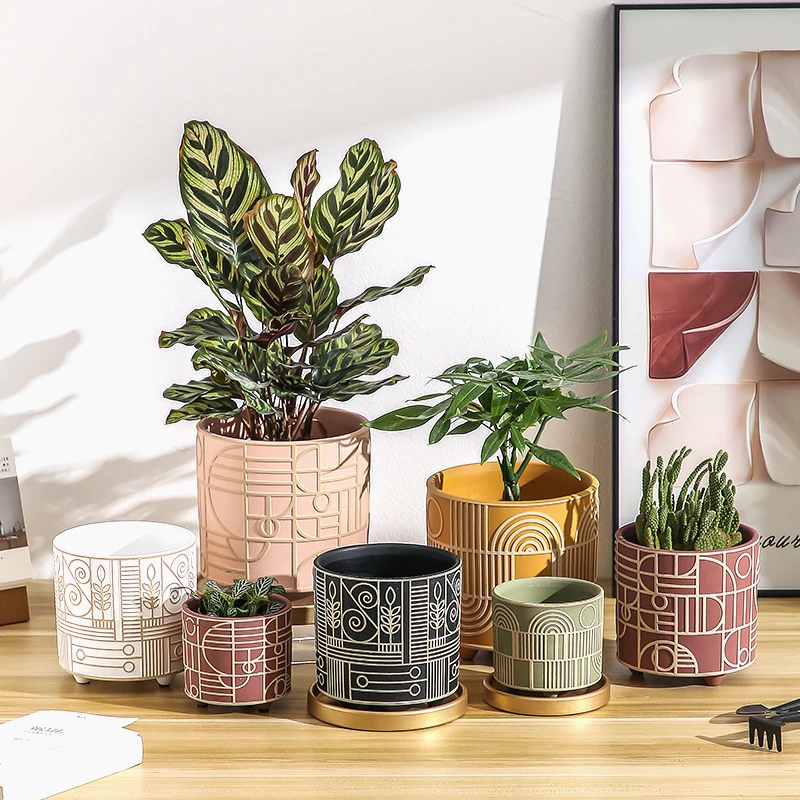 Simple Cylindrical Ceramic Flo - Aloe Vera Pot 评论和价格