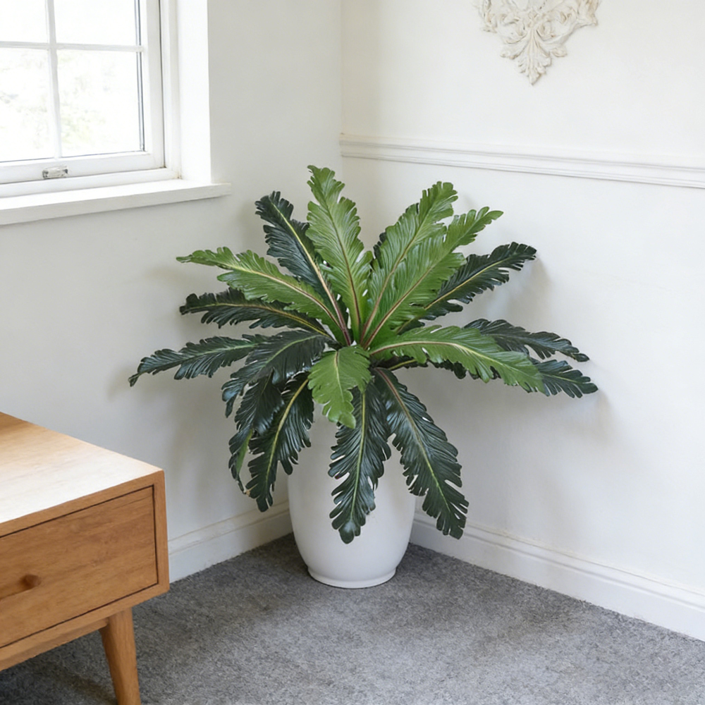 45-50cm Tropical Fake Persian  - Dracaena Marginata 评论和价格