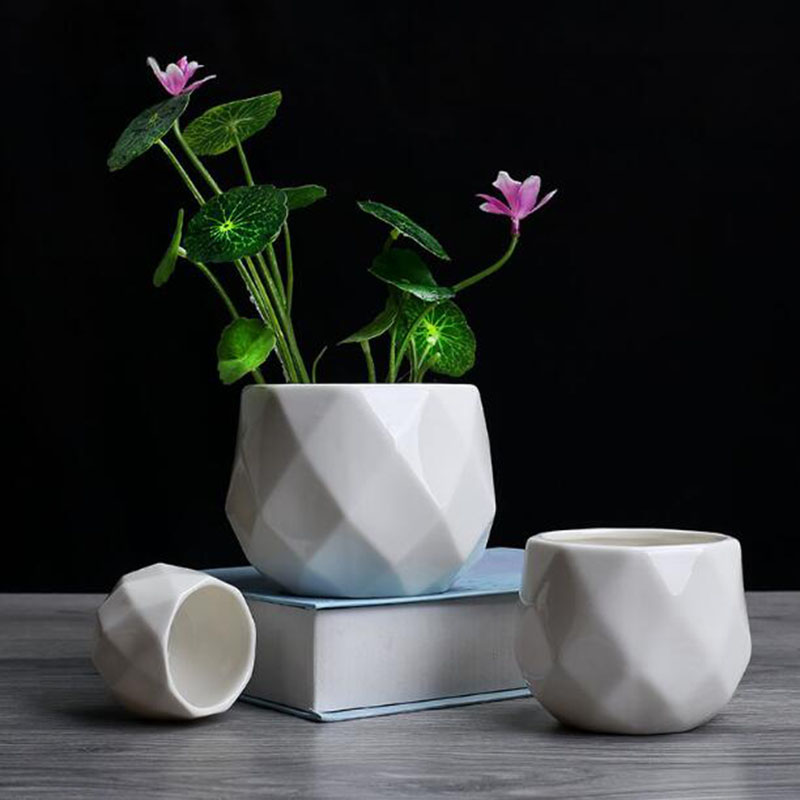 European Simplicity Style Whit - Aloe Vera Pot 评论和价格
