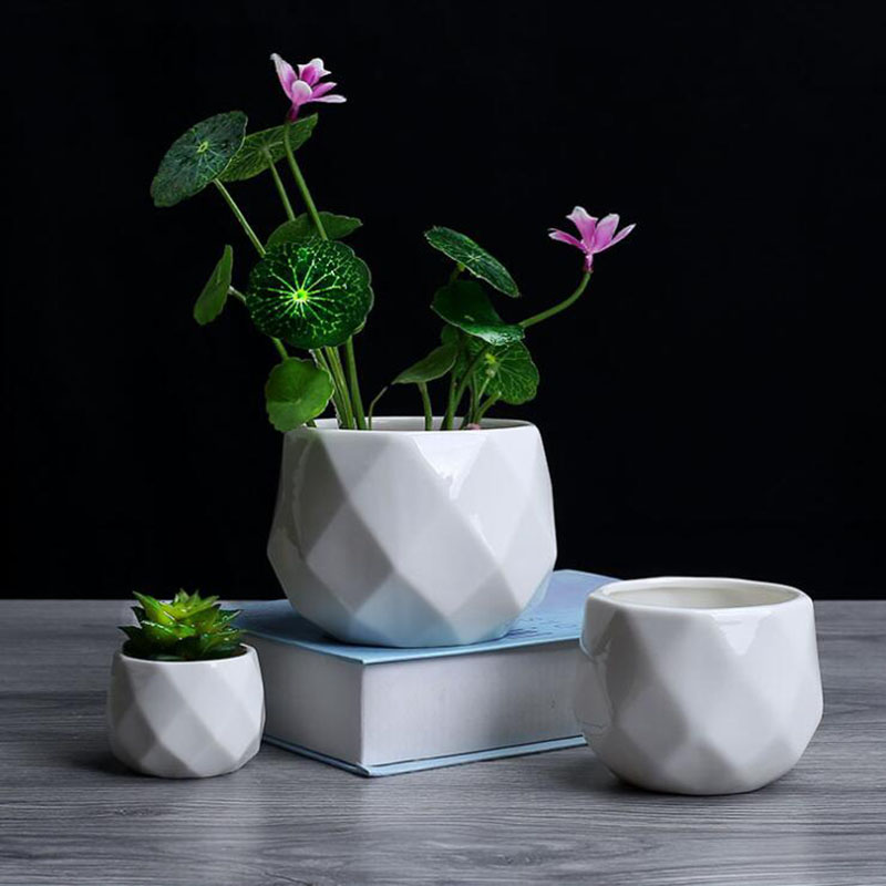 European Simplicity Style Whit - Aloe Vera Pot 评论和价格