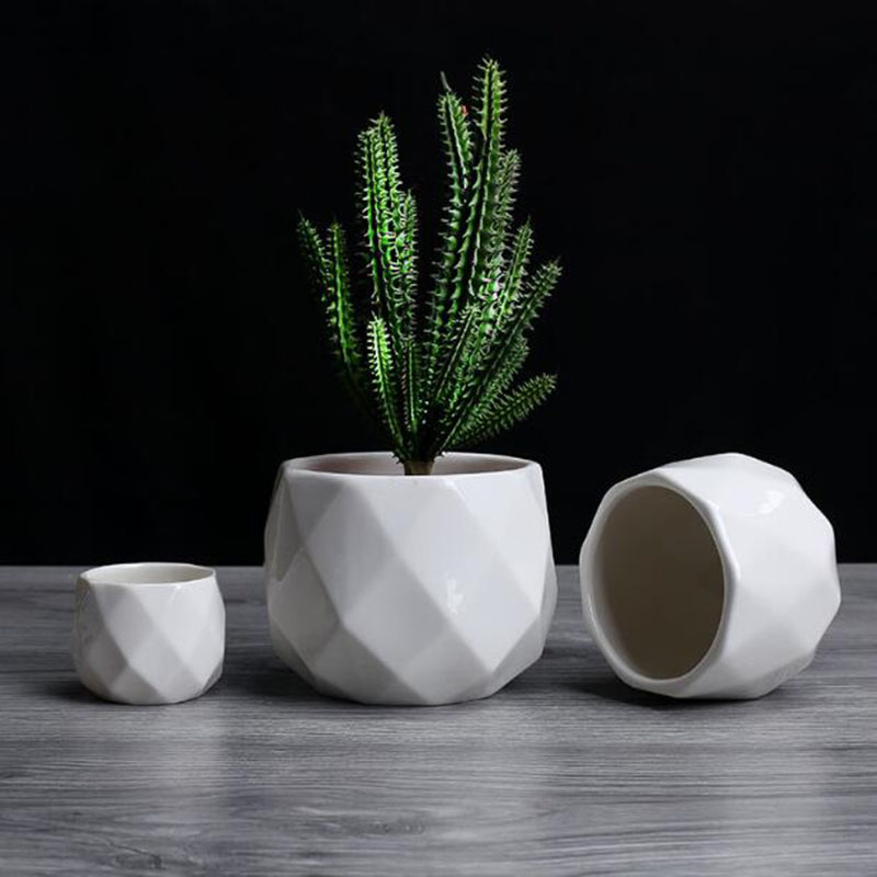European Simplicity Style Whit - Aloe Vera Pot 评论和价格