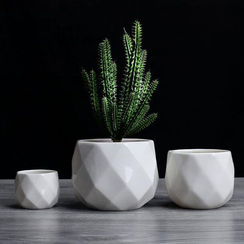 European Simplicity Style Whit - Aloe Vera Pot 评论和价格