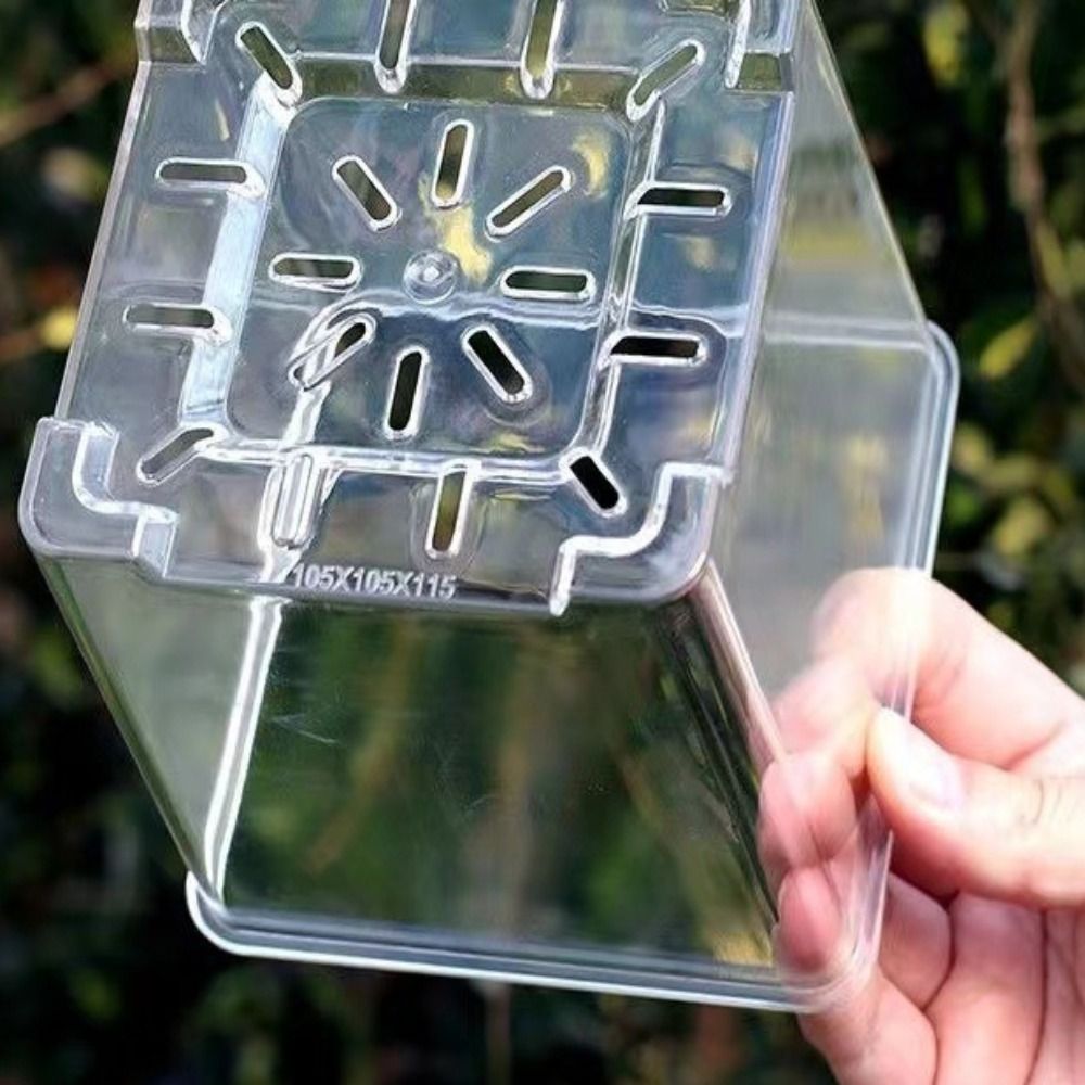 Transparent Material Acrylic P - Aloe Vera Pot 评论和价格